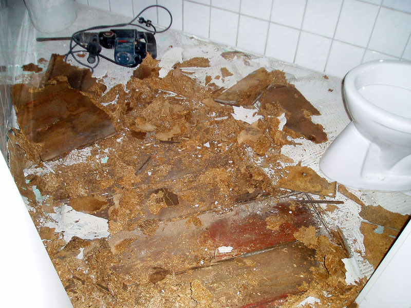 Wasserschadenbeseitigung Foto 02