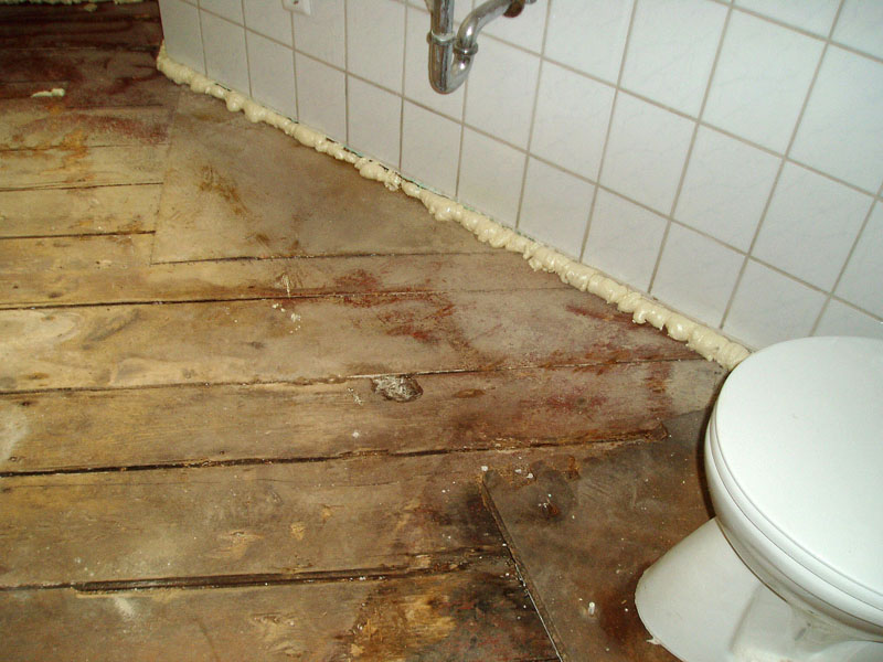 Wasserschadenbeseitigung Foto 17