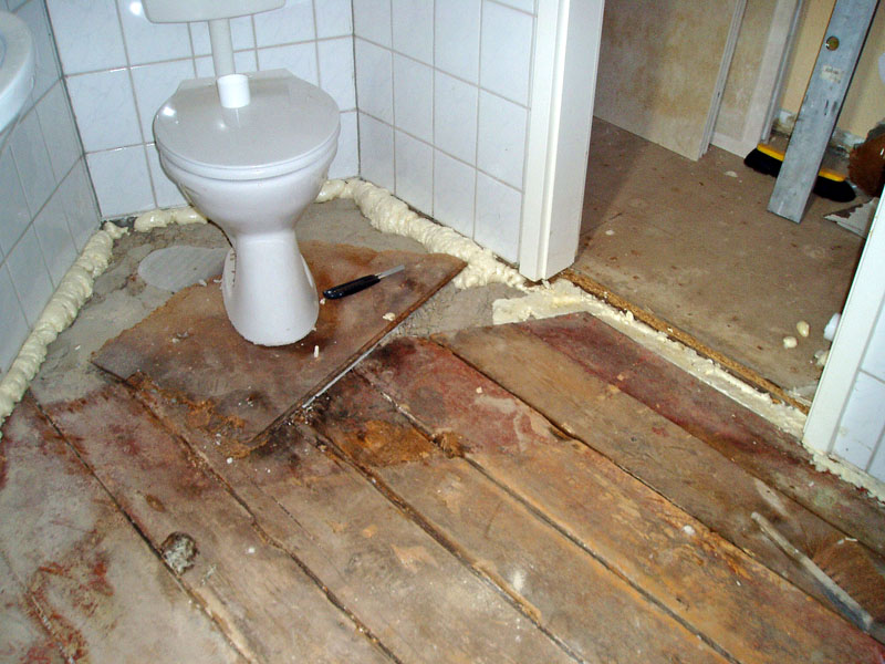 Wasserschadenbeseitigung Foto 18