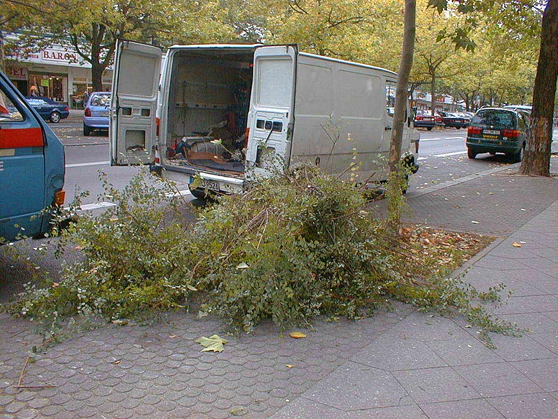 Heckenschnitt Foto 6