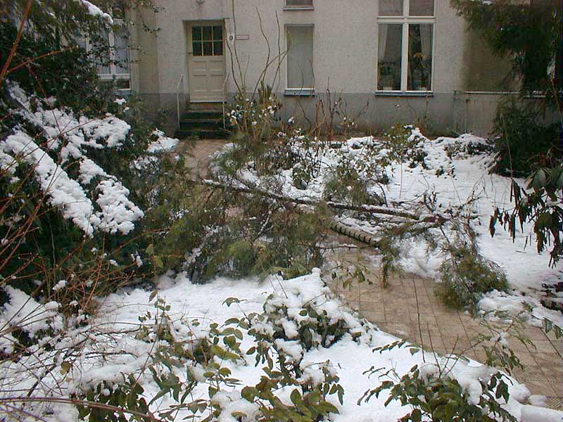 Gruenanlage Sturmschaden Foto 01