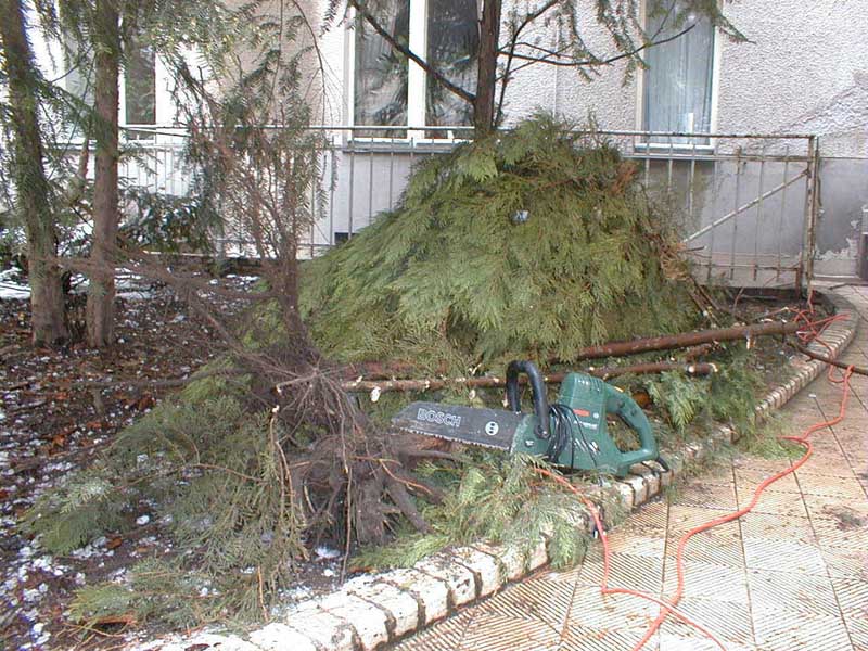 Gruenanlage Sturmschaden Foto 08