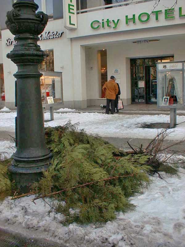 Gruenanlage Sturmschaden Foto 12