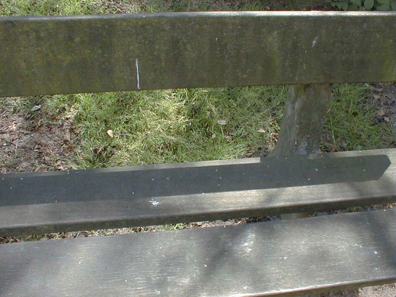Holzarbeiten Foto 12