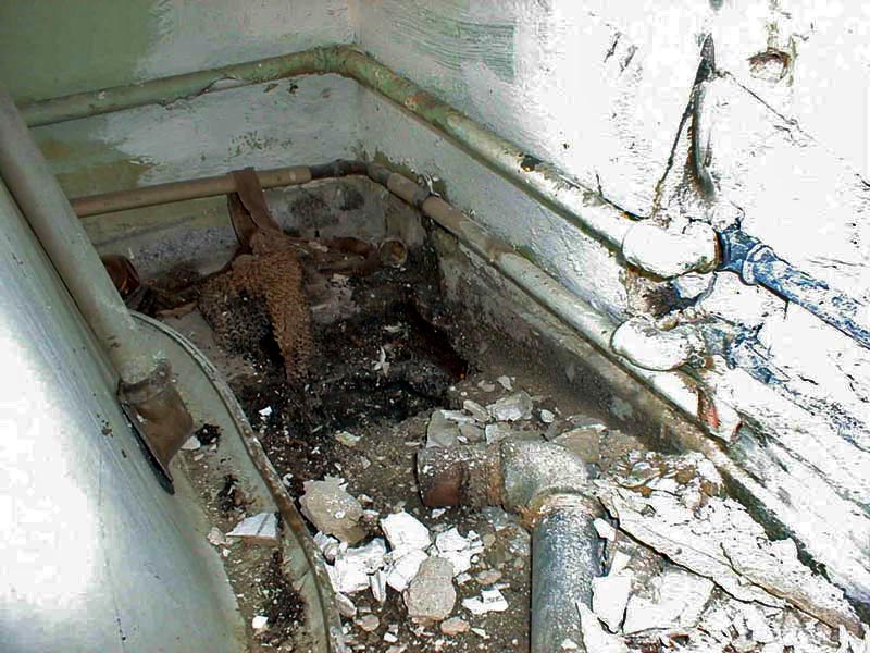 Bad Sanierung Foto 5
