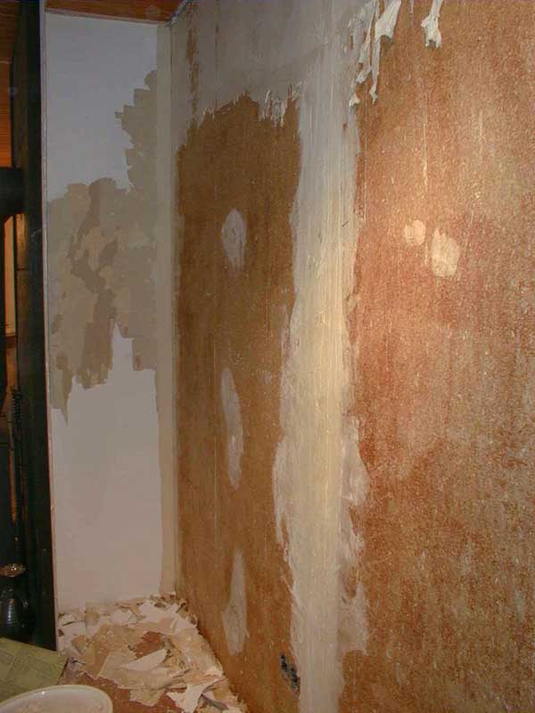 Renovierung Malerarbeiten Foto 7