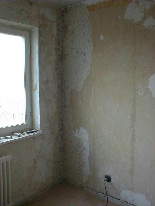 Schimmelbeseitigung Wandisolierung Foto 2